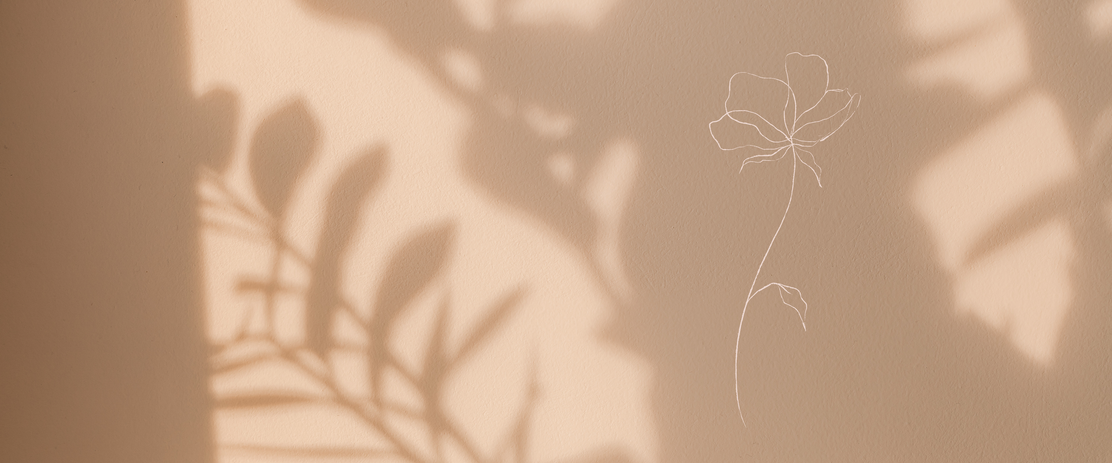 slider image 1621243260e1af0c20-0