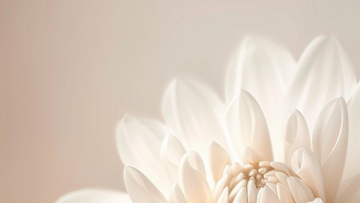 White flower on a pink background — symbolizing softness, hope, and Talk2Tessa psychologist-designed AI self-help for low mood with ACT and self-compassion.