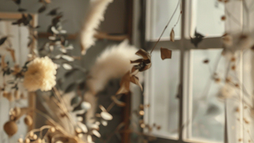 Flowers near a window, calming cover image for Talk2Tessa blog 'Clarity and Confidence: A Psychologist’s Guide to Assertiveness with ACT, Self-Compassion, and AI'.