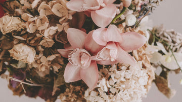 Flowers in warm light – symbolic cover image for Talk2Tessa’s psychologist-written guide ‘Affirmations to Calm Your Nervous System’, representing grounding, self-compassion, and nervous system regulation.