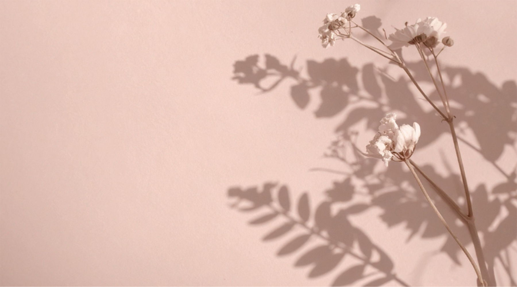Soft flowers on a pink background — symbolizing gentle recovery, rest, and Talk2Tessa psychologist-designed AI self-help for burnout using ACT and self-compassion.