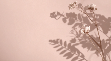 Soft flowers on a pink background — symbolizing gentle recovery, rest, and Talk2Tessa psychologist-designed AI self-help for burnout using ACT and self-compassion.