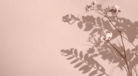 Soft neutral flowers symbolizing gentle burnout recovery, rest without guilt, and self-compassion — Talk2Tessa.