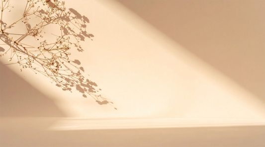 Flowers casting soft shadows on a beige background — symbolizing clarity, calm, and Talk2Tessa psychologist-designed AI self-help for easing overthinking with ACT and self-compassion.