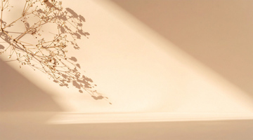 Flowers casting soft shadows on a beige background — symbolizing clarity, calm, and Talk2Tessa psychologist-designed AI self-help for easing overthinking with ACT and self-compassion.