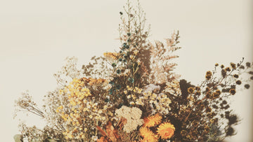 Soft floral image for the Talk2Tessa blog ‘Compassion Quotes’, a psychologist-written guide with gentle ACT and self-compassion insights.