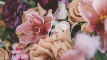 Soft pink flowers in gentle light — calm visual for the Talk2Tessa kindness quotes article, symbolizing warmth, self-compassion and emotional softness.