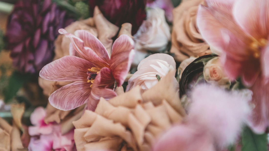 Soft pink flowers in gentle light — calm visual for the Talk2Tessa kindness quotes article, symbolizing warmth, self-compassion and emotional softness.