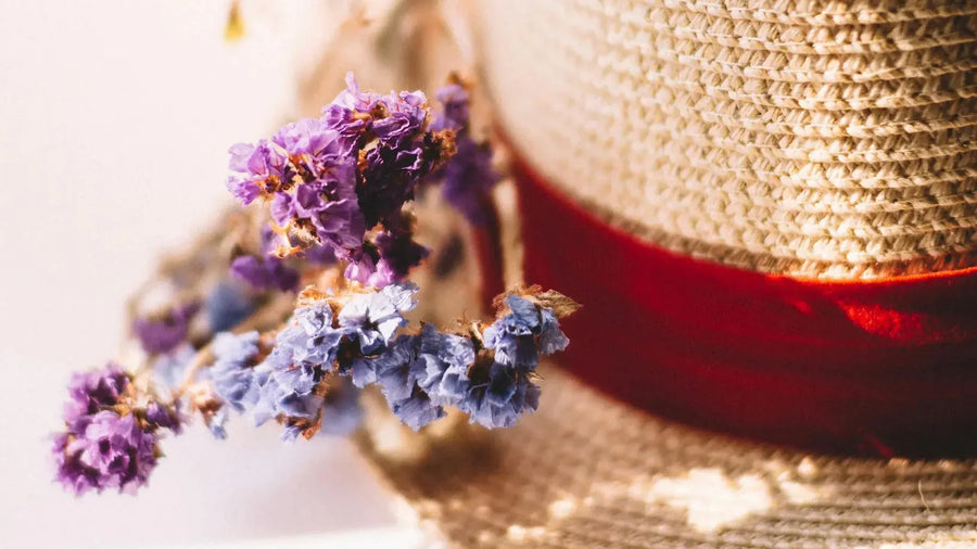 Echinacea and wildflowers representing calm for nervous system anxiety