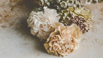 Soft floral image for the Talk2Tessa blog ‘Overthinking Quotes Life’, a psychologist-written guide with gentle ACT and self-compassion insights.