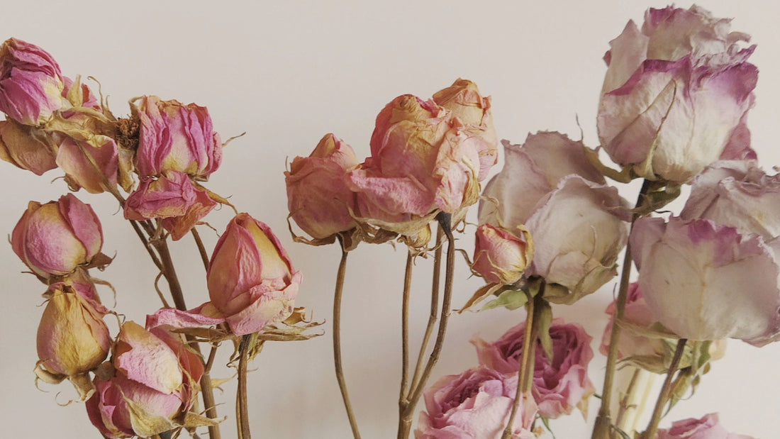 Soft blush-colored flowers in a calm Japandi-inspired style, used as a gentle header image for an overthinking and psychology-themed Talk2Tessa blog.