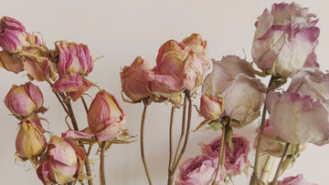 Soft blush-colored flowers in a calm Japandi-inspired style, used as a gentle header image for an overthinking and psychology-themed Talk2Tessa blog.