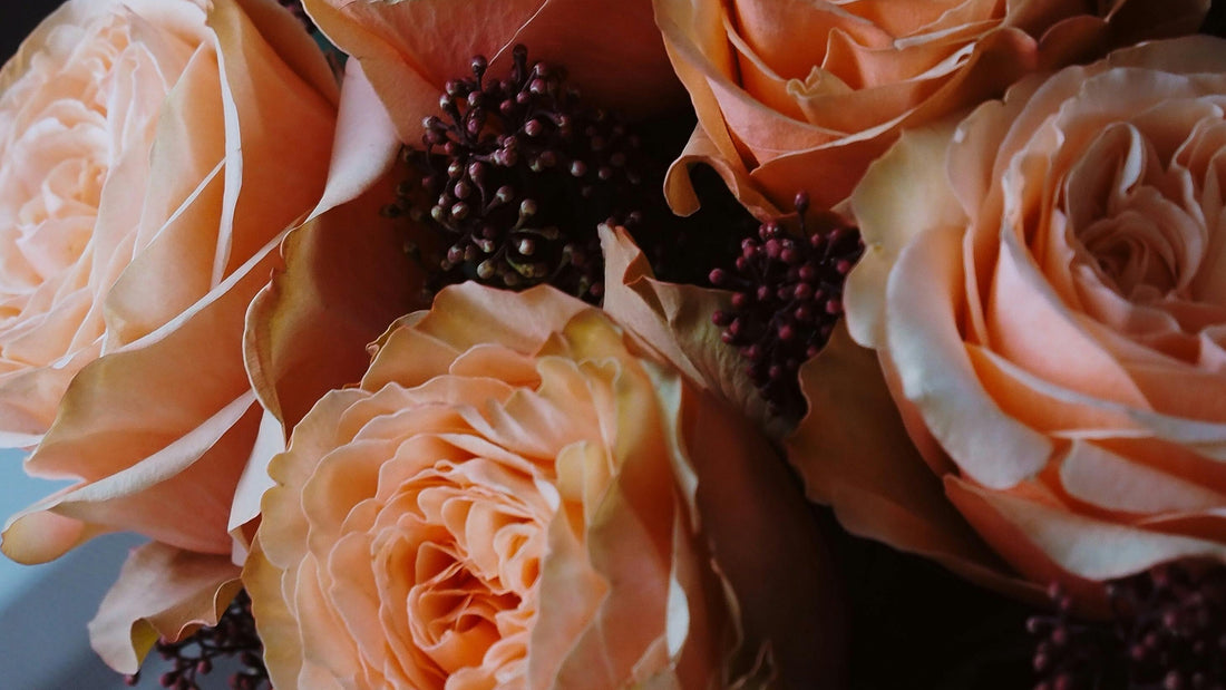 Calm flowers for a Talk2Tessa psychologist guide on how to stop overthinking.