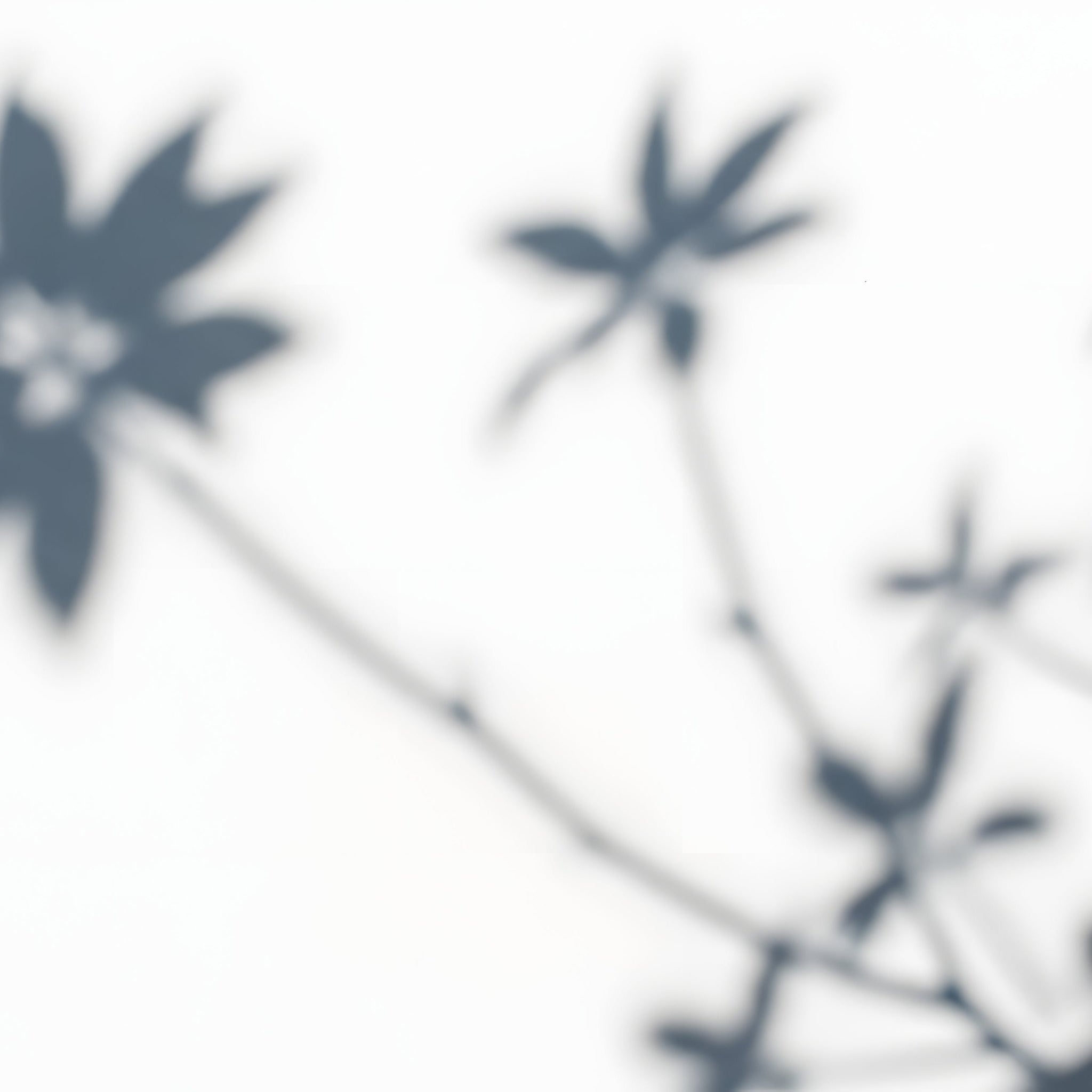 Minimal floral flatlay with beige and rust flowers illustrating the harmony between psychology and artificial intelligence. Symbolic image for Talk2Tessa’s self-help blog about how ChatGPT and ACT principles can foster human self-awareness.