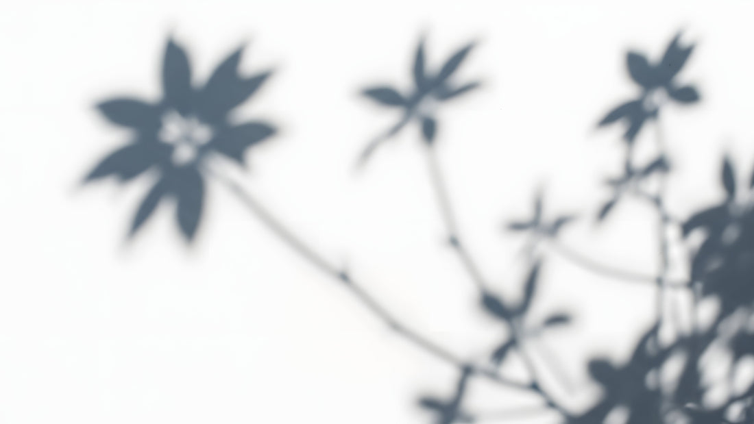 Minimal floral flatlay with beige and rust flowers illustrating the harmony between psychology and artificial intelligence. Symbolic image for Talk2Tessa’s self-help blog about how ChatGPT and ACT principles can foster human self-awareness.