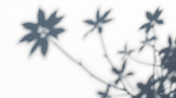 Minimal floral flatlay with beige and rust flowers illustrating the harmony between psychology and artificial intelligence. Symbolic image for Talk2Tessa’s self-help blog about how ChatGPT and ACT principles can foster human self-awareness.