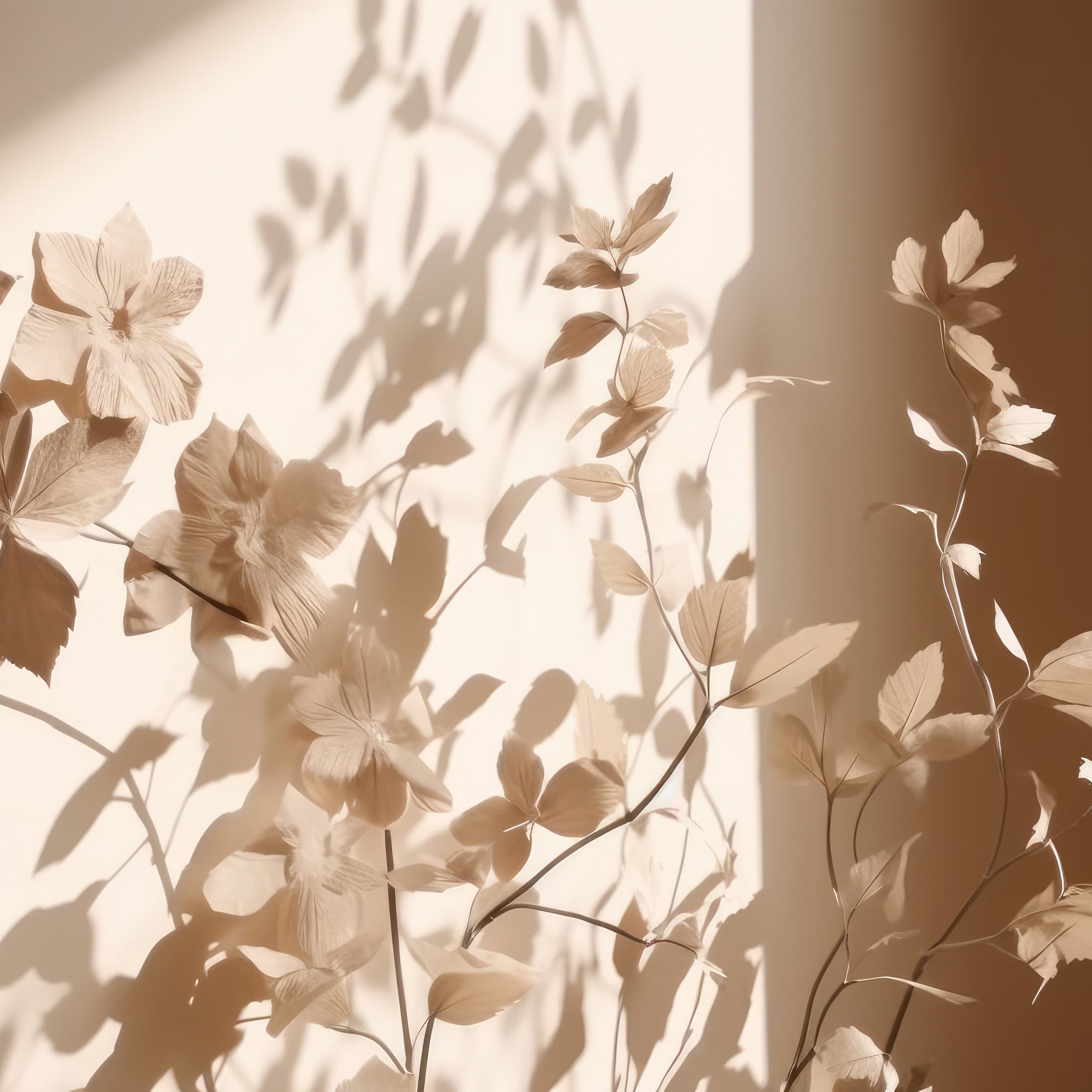 Beige flowers with soft shadows symbolizing calm, clarity, and Talk2Tessa psychologist-designed ACT, self-compassion, and AI self-help for relationships.