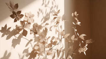 Beige flowers with soft shadows symbolizing calm, clarity, and Talk2Tessa psychologist-designed ACT, self-compassion, and AI self-help for relationships.