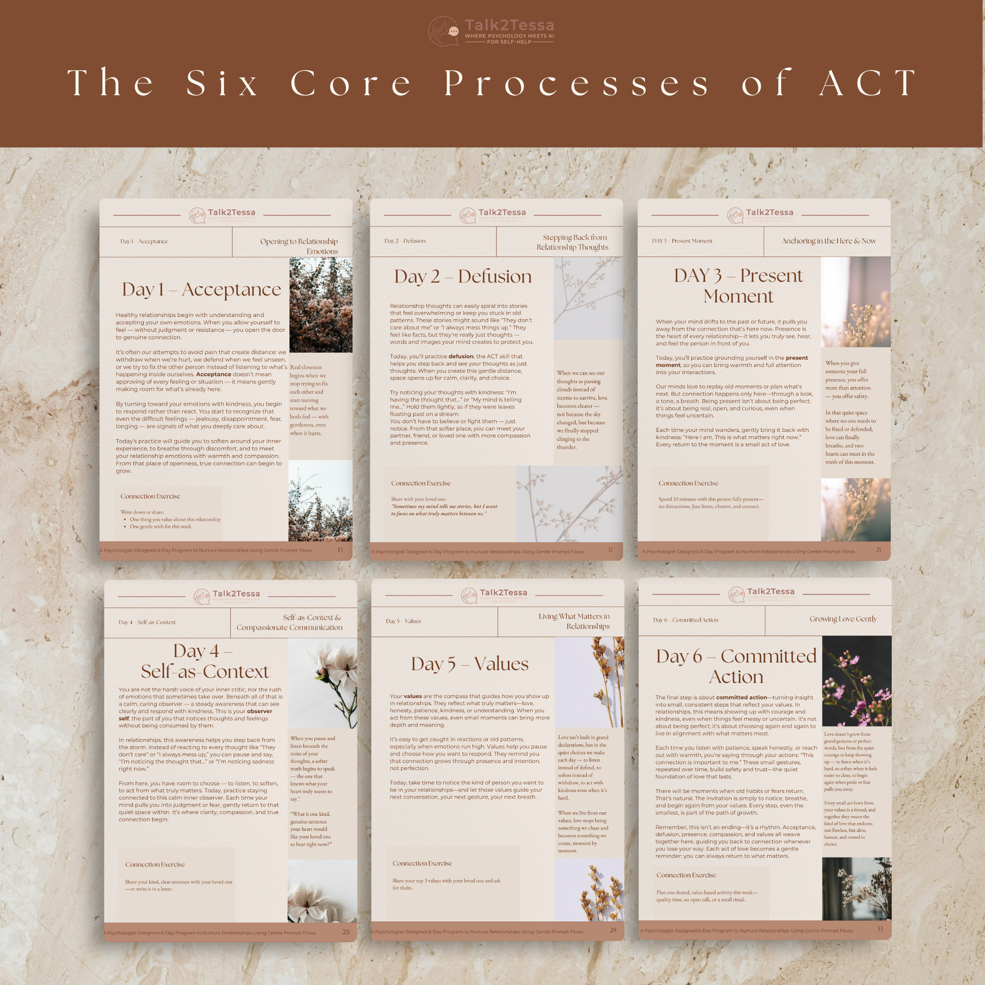 Visual of the six core ACT processes—acceptance, defusion, presence, self-as-context, values, and committed action—featured in the “Open & Connected” relationship program.