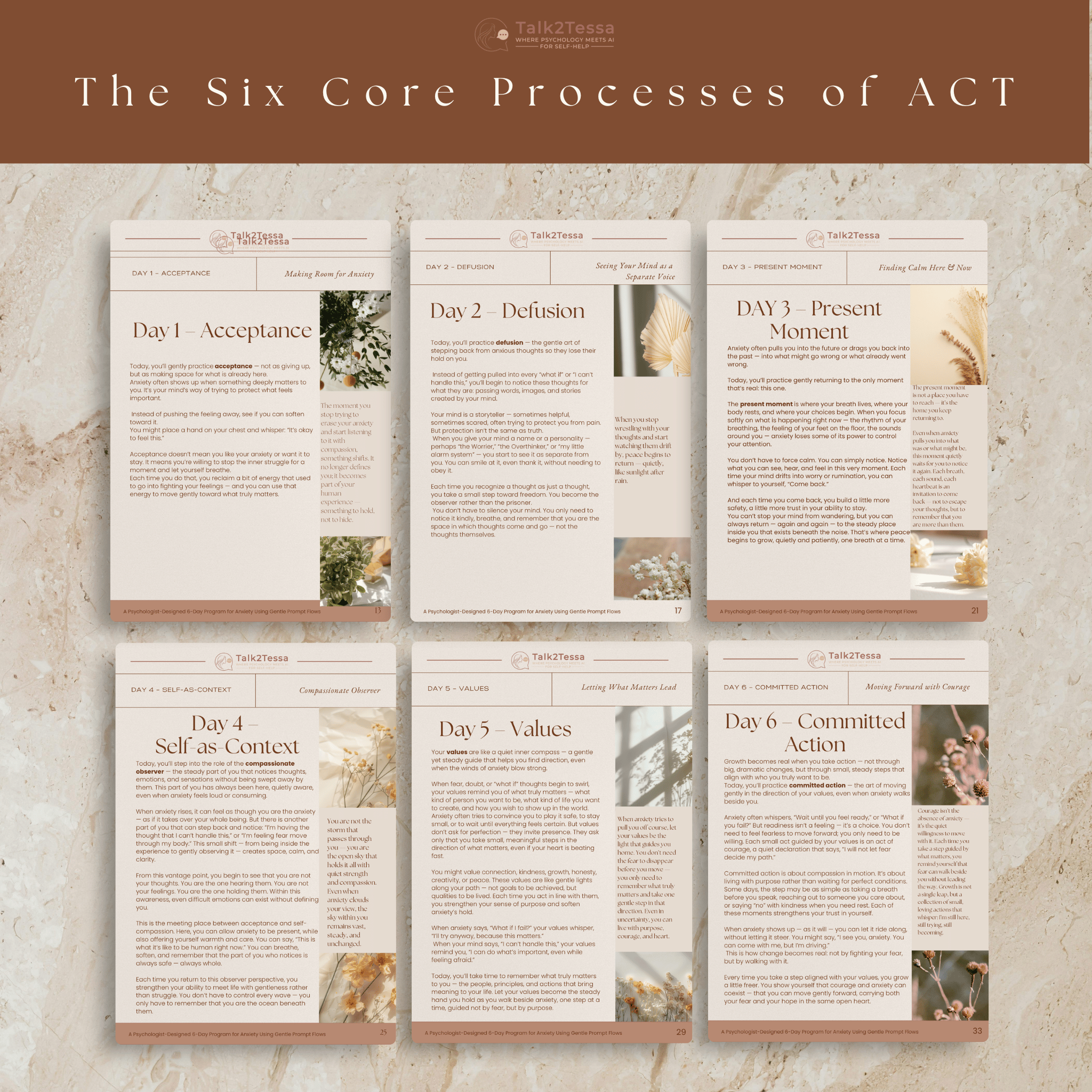 Illustration of the six ACT processes from Calm & Courage by Talk2Tessa, highlighting acceptance, defusion, presence, self-compassion, values, and committed action.