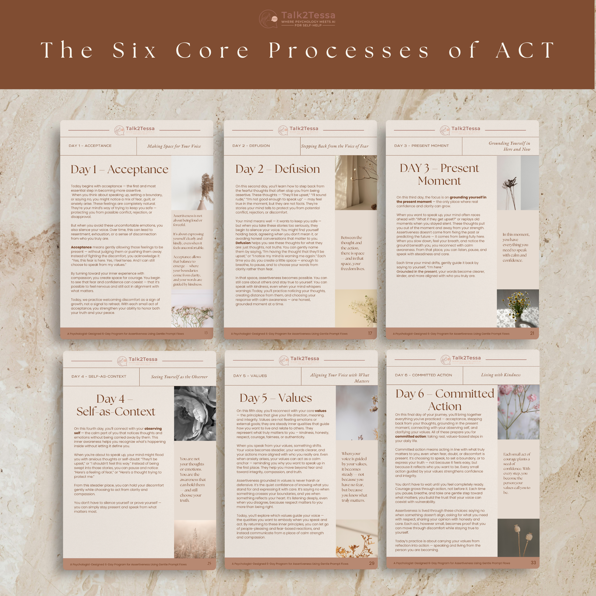 Visual of the six ACT core processes featured in the Clarity & Confidence Flow by Talk2Tessa — acceptance, defusion, values, action, mindfulness, and self-compassion.
