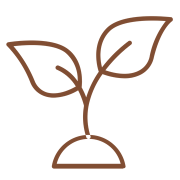 Seed illustration symbolizing grounding, growth, and mindful acceptance — representing the roots of Acceptance and Commitment Therapy (ACT), self-compassion, and AI-guided self-help by Talk2Tessa.